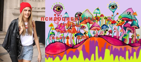 эйфоретик Балахна