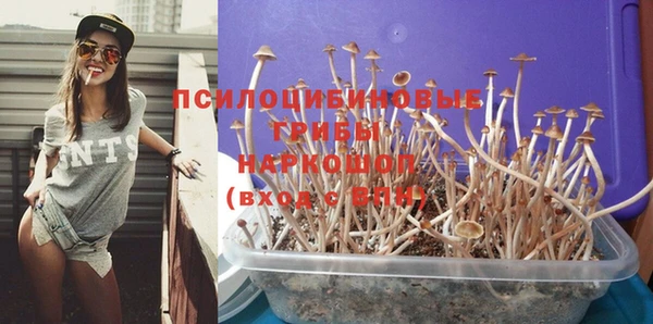 марки nbome Баксан