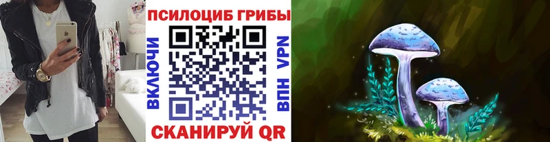 Псилоцибиновые грибы Psilocybe Белёв